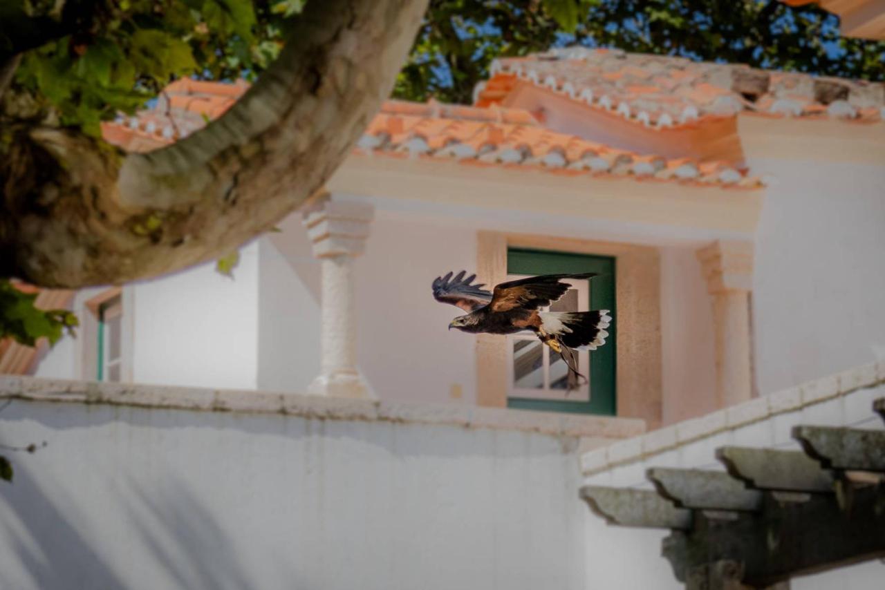 Quinta Da Foz Villa Foz do Arelho Exterior photo